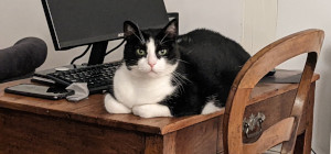 Ouvrir la sous-galerie Animaux 