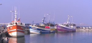 Ouvrir la sous-galerie Bretagne 