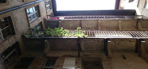 Ouvrir la sous-galerie Vieux Lyon 