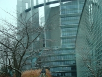 Vignette 24+Strasbourg.jpeg 