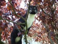 Ouvrir la sous-galerie Newton en vacances 