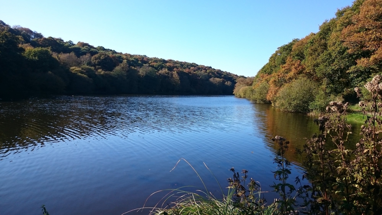 Diapositive 30++Callac.jpeg 