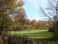 Vignette 02++Cressia.jpeg 