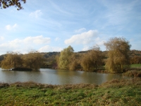 Vignette 04++Cressia.jpeg 