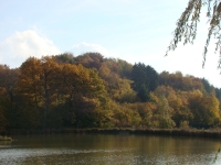 Vignette 06++Cressia.jpeg 