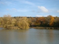 Vignette 07++Cressia.jpeg 