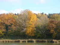 Vignette 08++Cressia.jpeg 