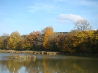 Vignette 09++Cressia.jpeg 