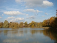 Vignette 10++Cressia.jpeg 