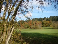 Vignette 11++Cressia.jpeg 