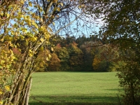 Vignette 12++Cressia.jpeg 