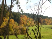 Vignette 16++Cressia.jpeg 