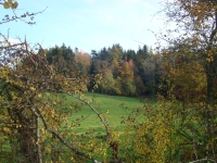 Vignette 17++Cressia.jpeg 