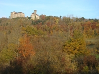 Vignette 21++Cressia.jpeg 