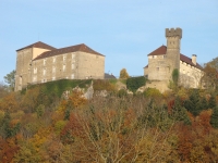 Vignette 22++Cressia.jpeg 