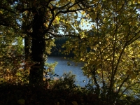 Vignette 23++Callac.jpeg 