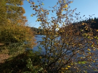 Vignette 25++Callac.jpeg 