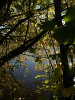 Vignette 26++Callac.jpeg 