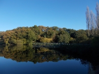 Vignette 27++Callac.jpeg 