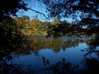 Vignette 28++Callac.jpeg 