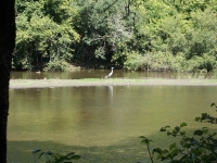 Vignette 48++Callac.jpeg 