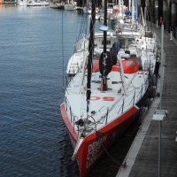 Ouvrir la sous-galerie Bêtes de course 