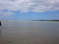 Ouvrir la sous-galerie Le Trégor 