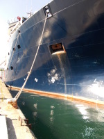 Vignette 05++L'Abeille Bourbon.jpeg 