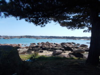 Vignette 13++Tregastel.jpeg 