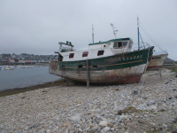 Vignette 05++Camaret.jpeg 