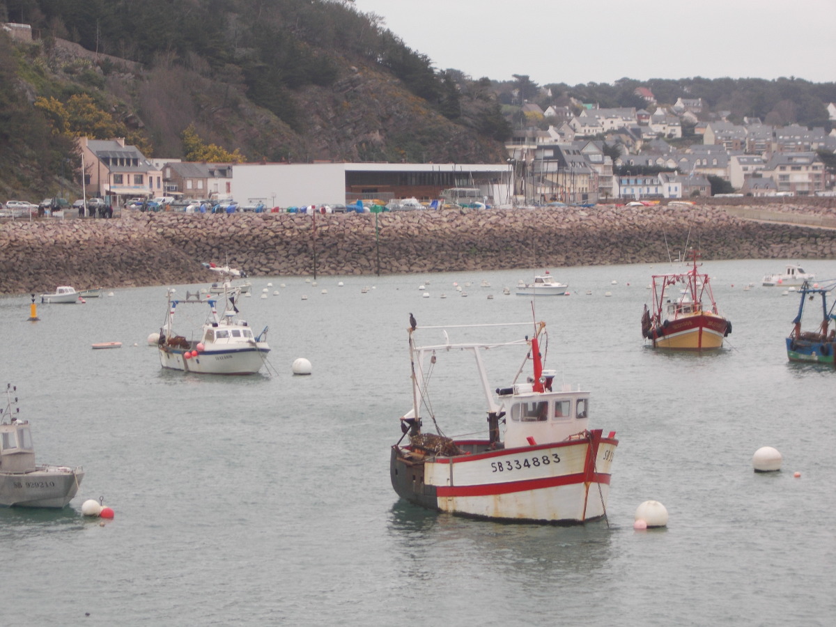 Diapositive 20++Port d'Erquy.jpeg 