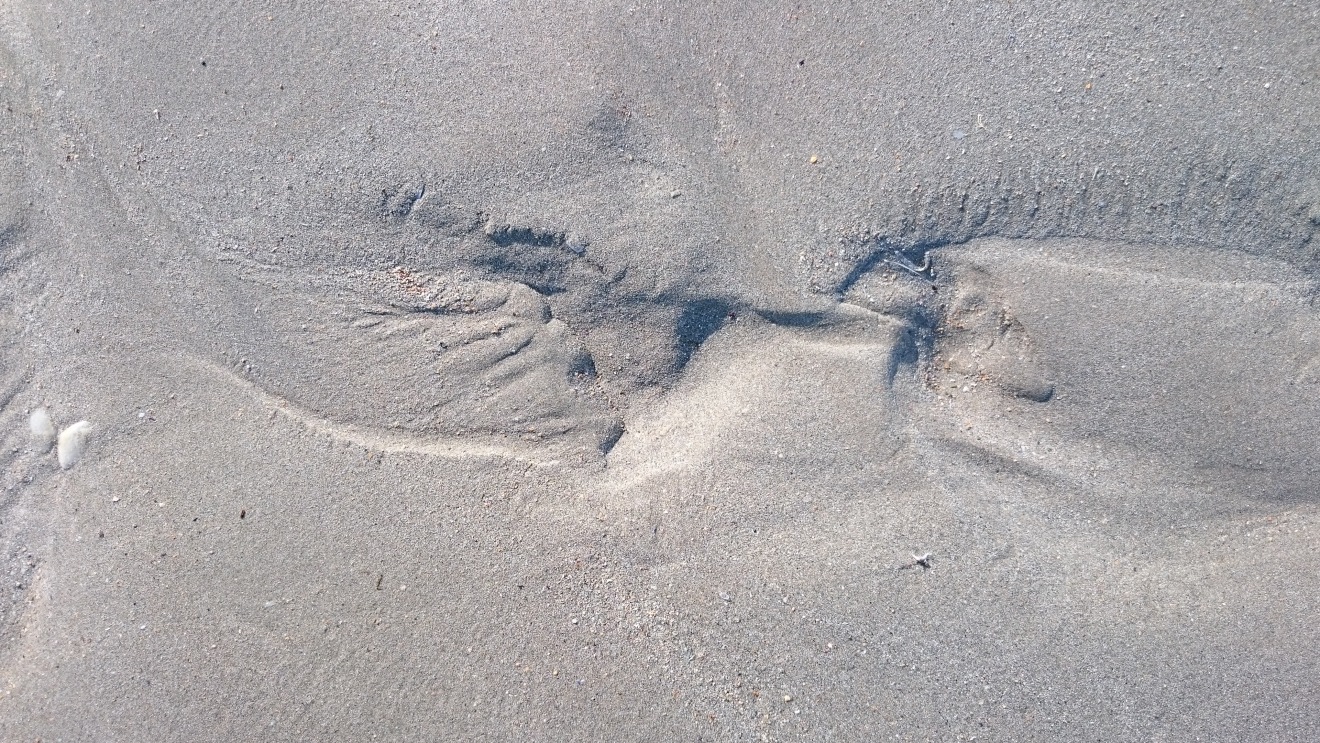 Diapositive 23++Graphisme Saint-Efflam.jpeg 