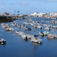 Vignette 25++Guilvinec.jpeg 