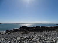 Vignette 31++Locquemeau.jpeg 