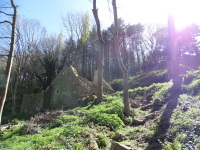 Vignette 08++Le Yaudet.jpeg 