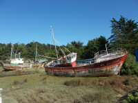 Vignette 10++Plougasnou.jpeg 