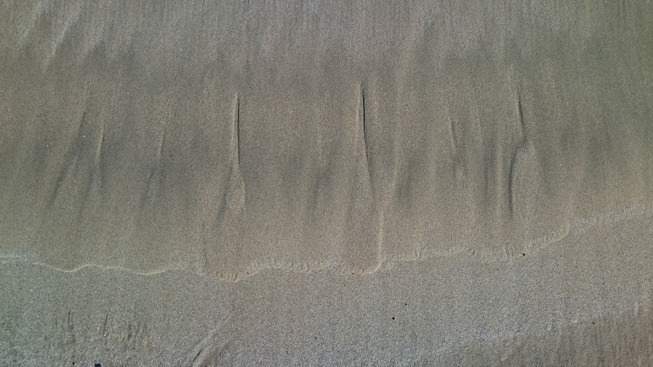 Diapositive 07++Saint-Michel-en-Grève.jpeg 