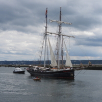 Vignette Wylde_Swan-2.jpeg 