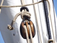 Vignette 039++La Recouvrance.jpeg 