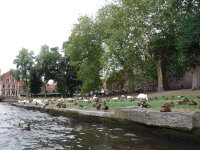 Vignette 065++Bruges.jpeg 