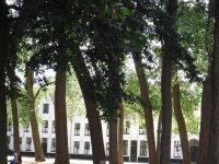 Vignette 091++Bruges.jpeg 