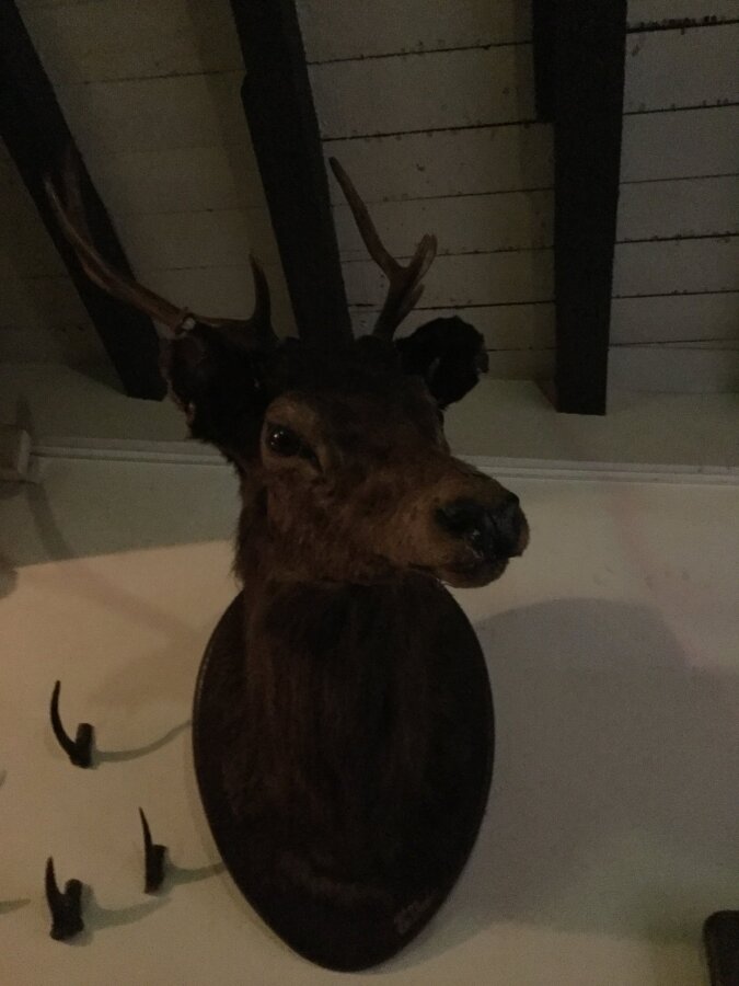 Diapositive 53++Bruxelles.jpeg 