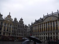 Vignette 19++Bruxelles.jpeg 