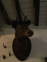 Vignette 53++Bruxelles.jpeg 