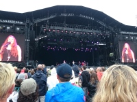 Vignette 06++Vieilles Charrues.jpeg 