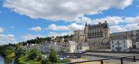 Vignette 10++Amboise.jpeg 