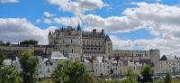 Vignette 12++Amboise.jpeg 