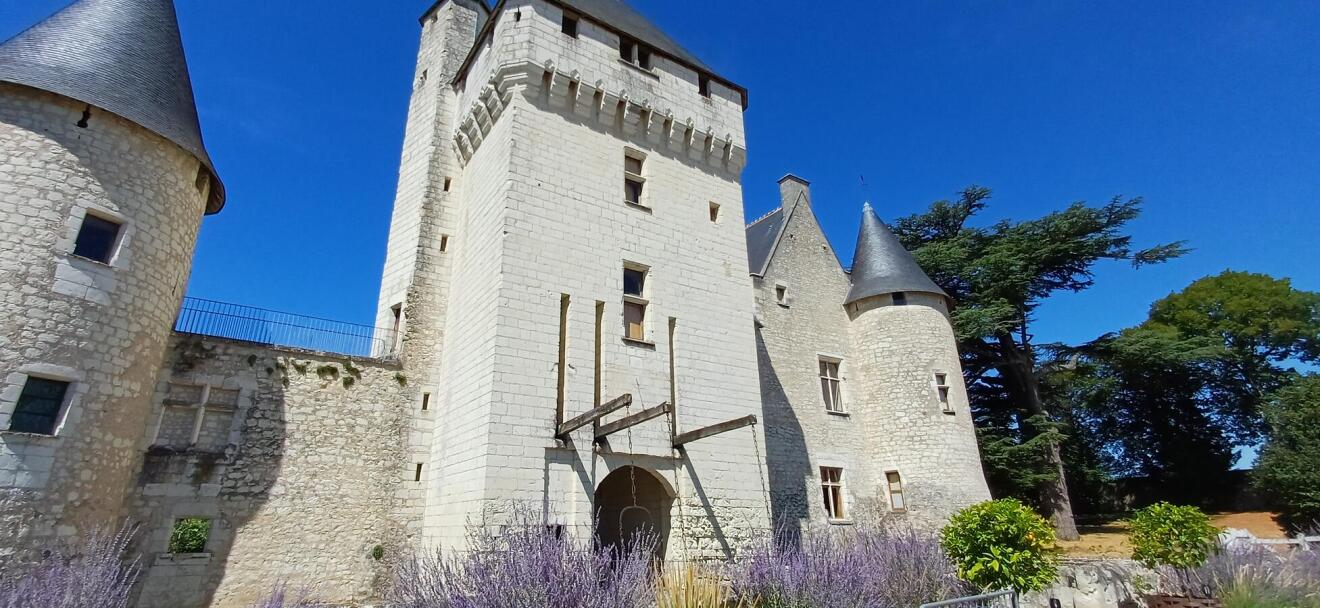 Diapositive 15++Chateau_du_Rivau.jpeg 