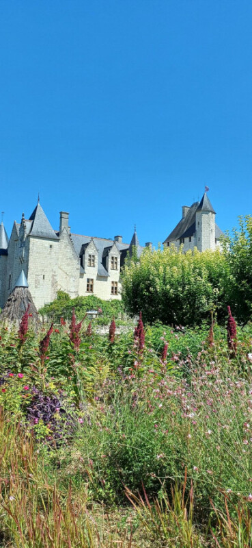 Diapositive 21++Chateau_du_Rivau.jpeg 