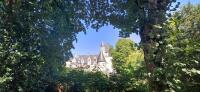 Vignette 18++Chateau_du_Rivau.jpeg 